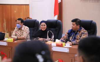 Cheti; Bawaslu dapat menjadi mitra wasdal Kemenkeu